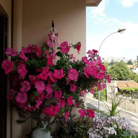 Chez L’habitant Chez Nadine * Cagnes-sur-Mer